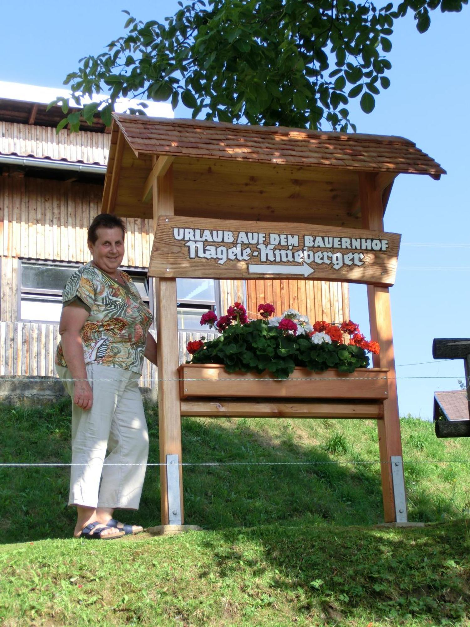 Willa Kniebergerhof Liebenfels Zewnętrze zdjęcie